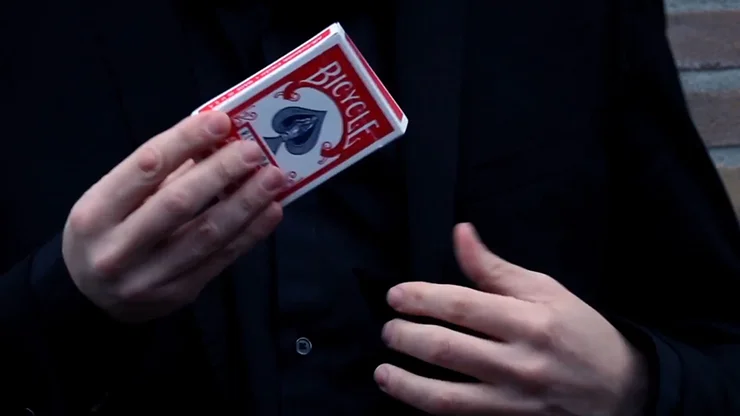Брошенные (Gimmicks и онлайн инструкции) от Dennis Reinsma Peter Eggin Card волшебные фокусы prosp
