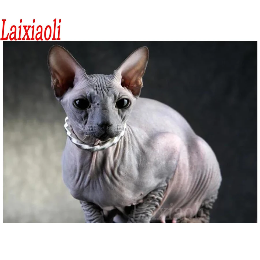 Камни в форме ромба/Набор для рисования с круглыми камнями и полотном 5D DIY