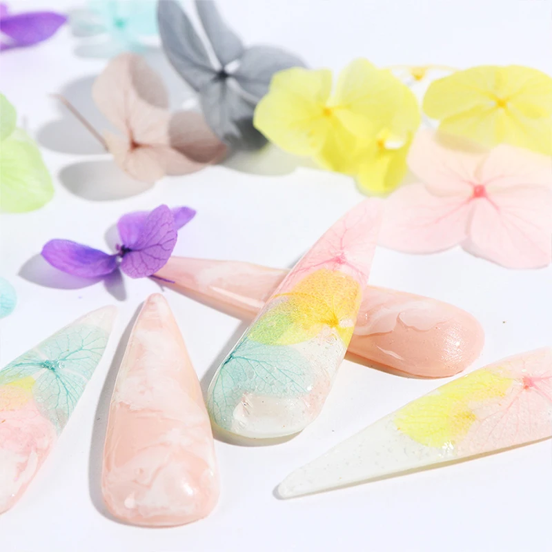 1 коробка сушеные цветы лист DIY украшения для ногтей Красота цветение подсолнухи советы натуральные Подвески наклейки для ногтей аксессуары