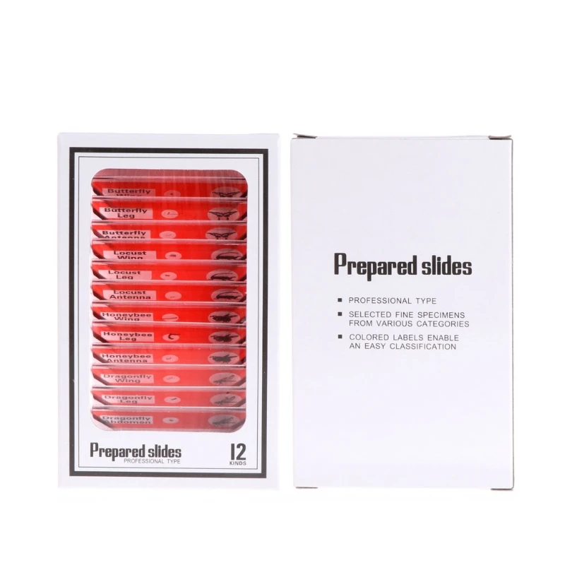 Прямая поставка 48 шт. образцы искусственных животных насекомых цветов образец |