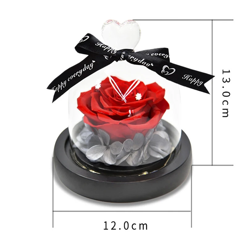 

Dried Flowers ROSE SPACE Valentines Day Gift Home Decoration Eternal Rose Flower in Glass Dome LED Light Birthday Wedding Gifts