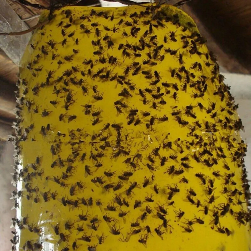25x15 см желтый Двухсторонняя клейкая летающих насекомых трипсы мошек тли Fruitfly