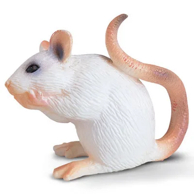 white rat Настоящий зоопарк, джунгли, Животные фермы, модель серии 2, петух, коза, утка, Выдра, детские развивающие игрушки для детей, подарок - Цвет: white rat