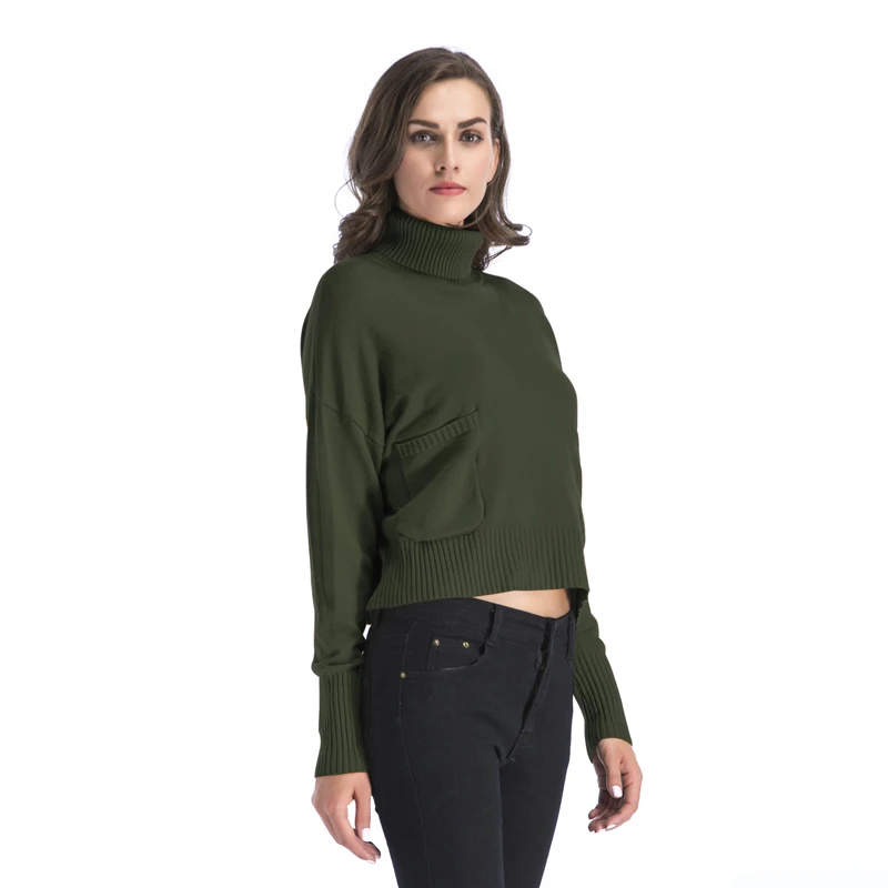 Женская модная водолазка свитер 2019 зима обычная высокая на выход вязанные топы с
