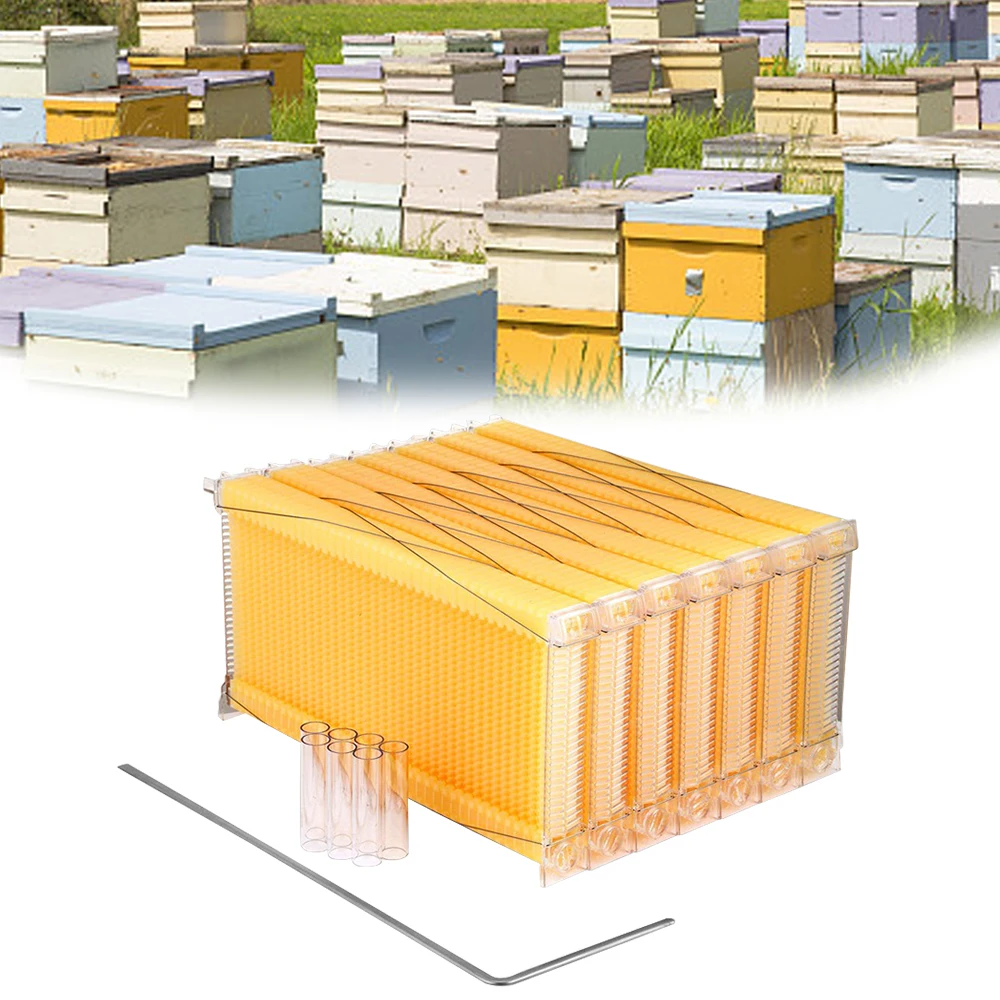 Автоматическая рамка для сбора меда пчелиный улей пищевой пластиковый гребневой