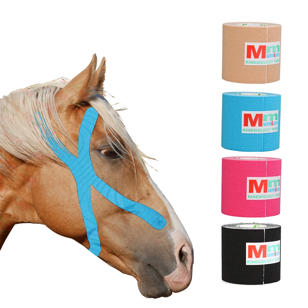 

Kinesiology Tape Animals Athletic Recovery Elastic Tape Gym Fitness Bandage for Racehorses Dogs Jiont Support Muscle Pain Relief