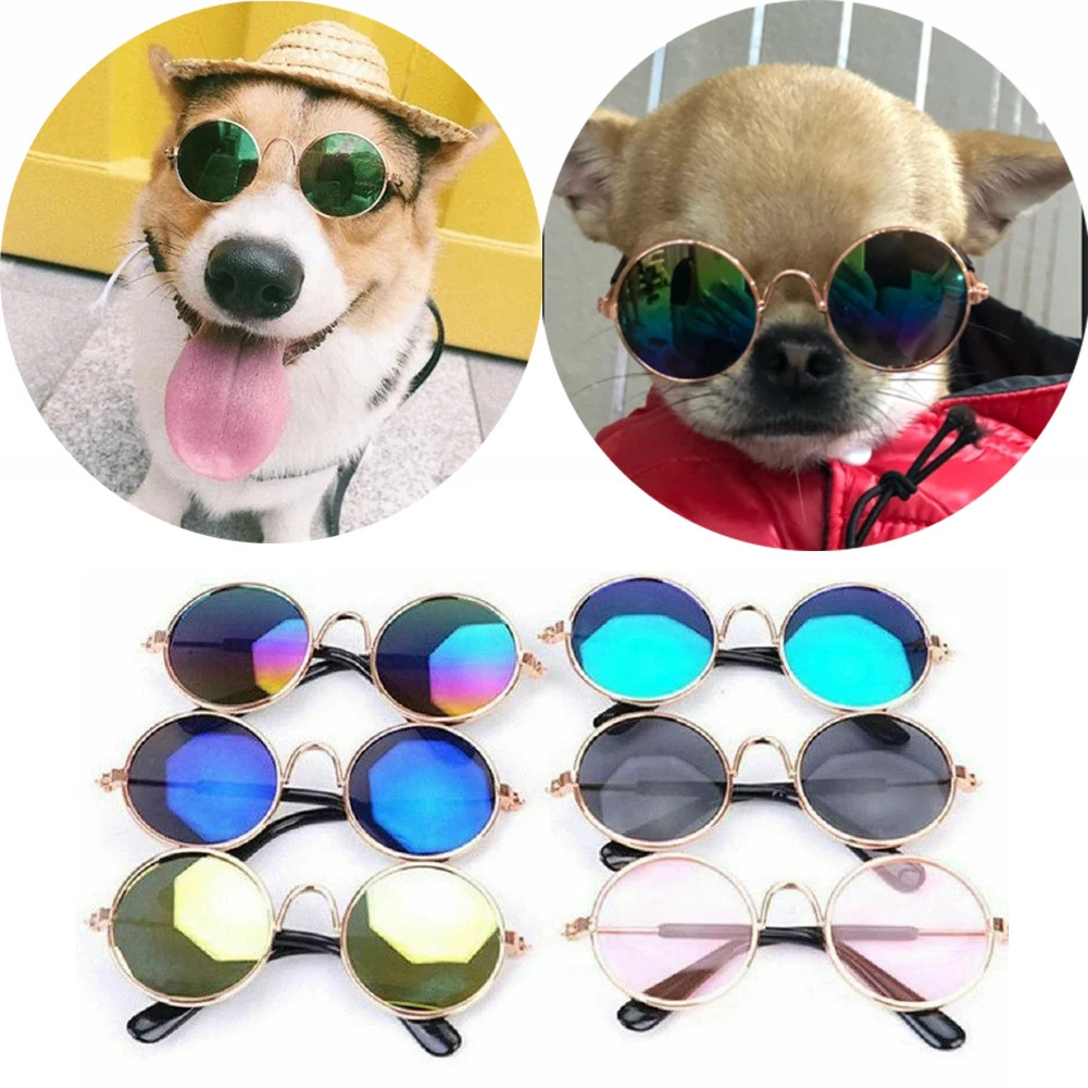 Dog Safety Glasses