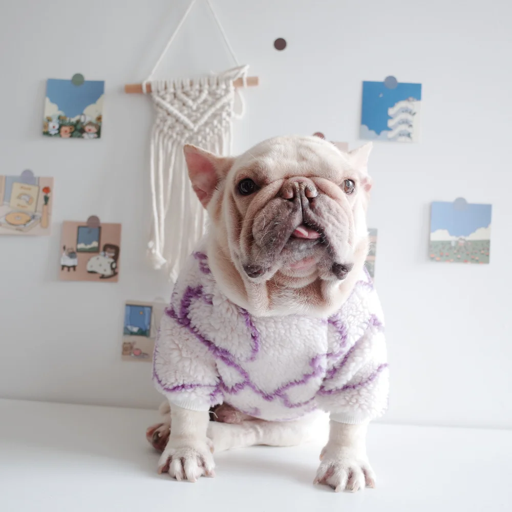 

Chic Pet clothing fat dog Outfits autumn winter clothing thick pug French Bulldog Corgi Teddy Puppy Clothes Small dog Clothes