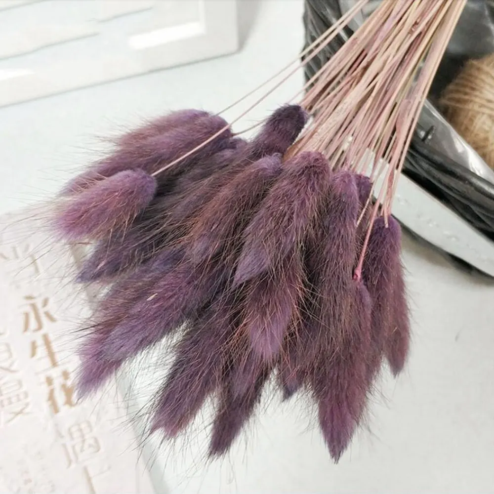 Gradient purple 30 шт./лот, градиентный букет из натуральных сушеных цветов laguurus Ovatus, сделай сам, свадебное украшение для дома, Кролик хвост, трава, настоящие цветы - Цвет: Gradient purple