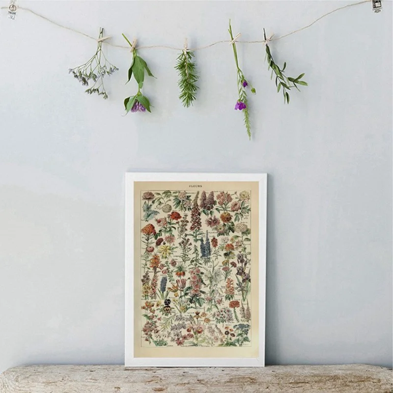 

Plant Retro Poster Flower Animal Insect Butterfly Mushrooms Canvas Painting Wall Art Canvas Oil Painting Home Decor 30x40cm