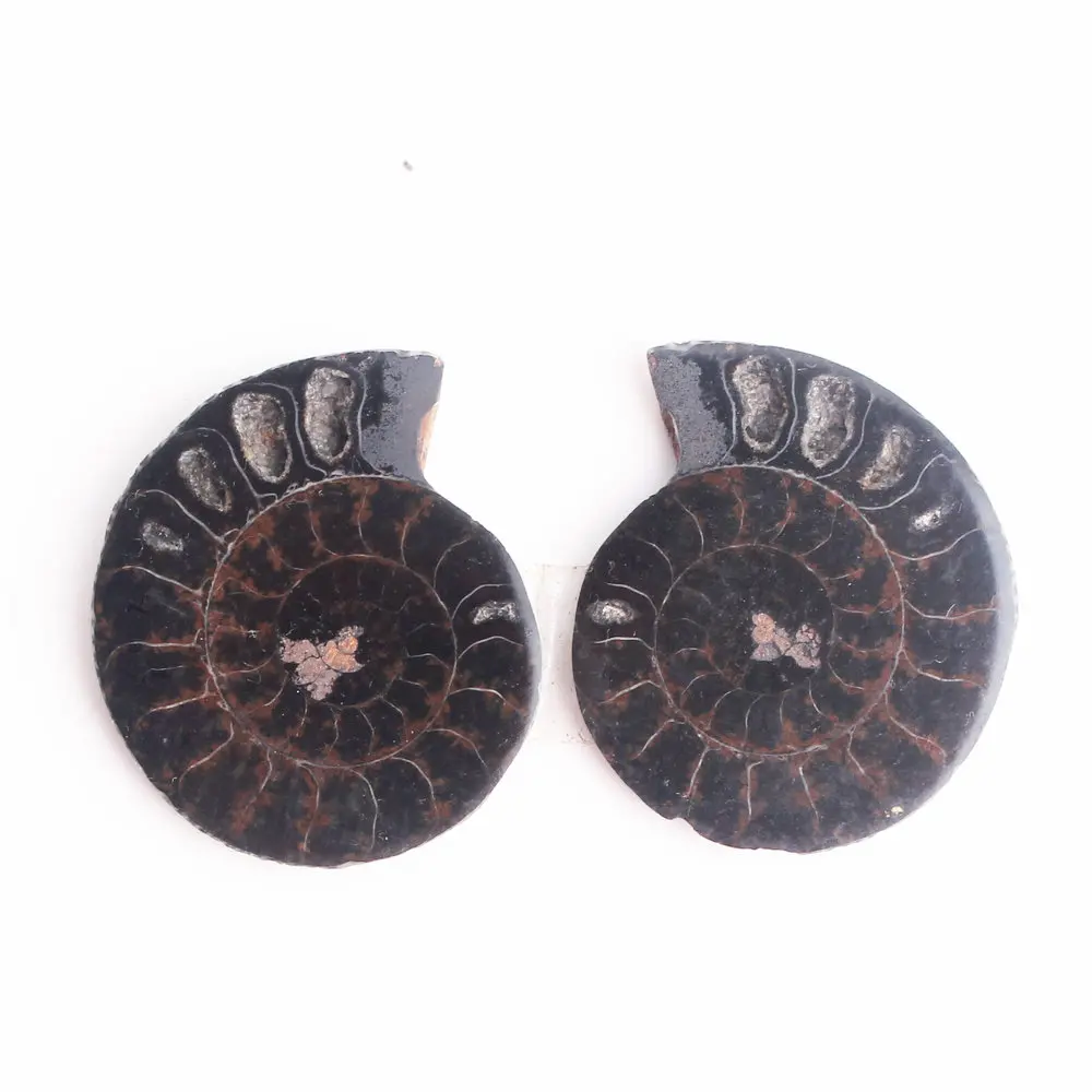 1 пара натуральный таинственный черный аммонит окаменелая оболочка Пара Аммонит