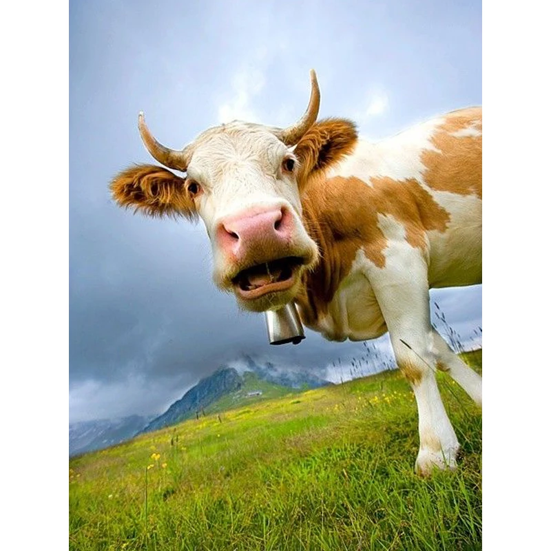 DIY Алмазная вышивка milch cow крестиком алмазные мозаичные животные алмазная