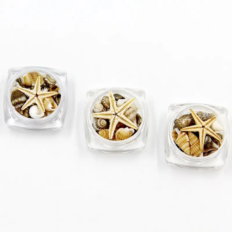 

Small Natural Beach Seashell Starfish Nautical Decor Nail Art Jewelry Making