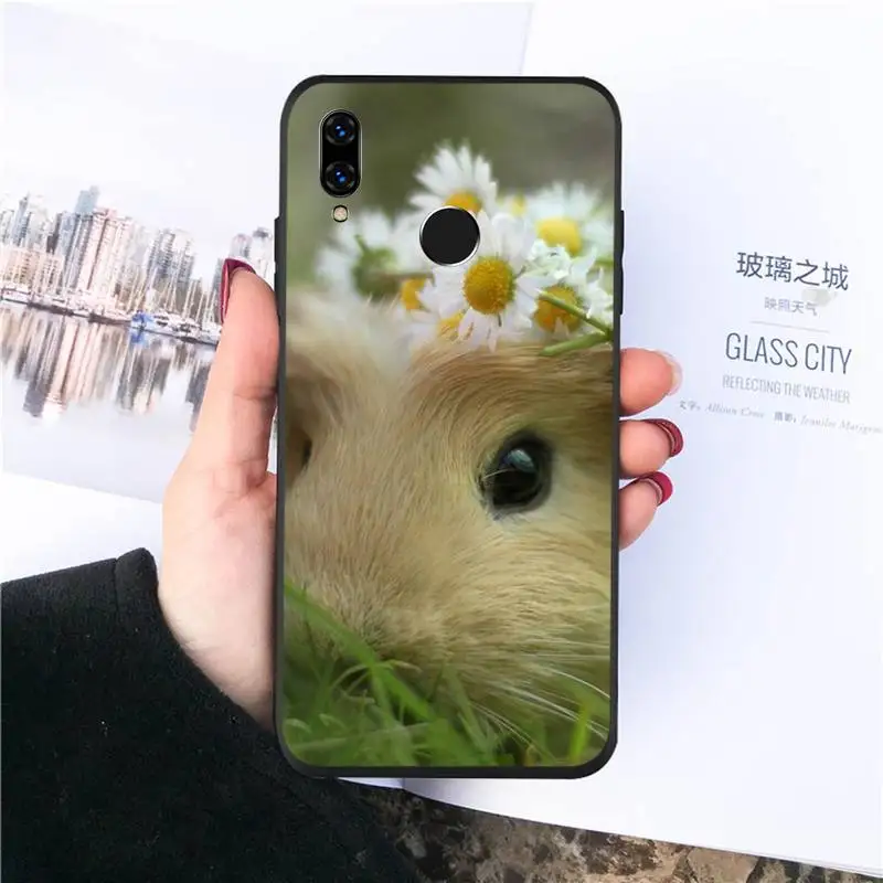 Чехол для телефона Huawei Honor view 7a5.45 дюйма 7c5.7 дюймов 8x 8a 8c 9 9x10 20 10i 20i lite pro | Мобильные