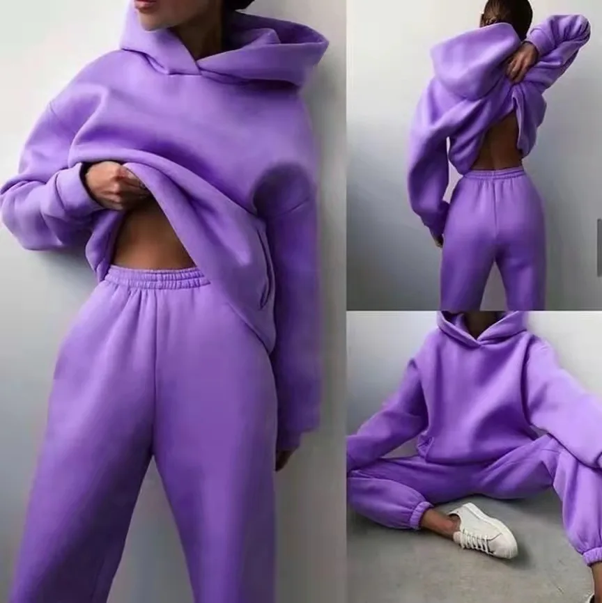 

Women Basic Hooded Tracksuit Two Piece Sets Pullover Sweatshirt Top and High Waist Pant Suits Female Fashion Streetwear