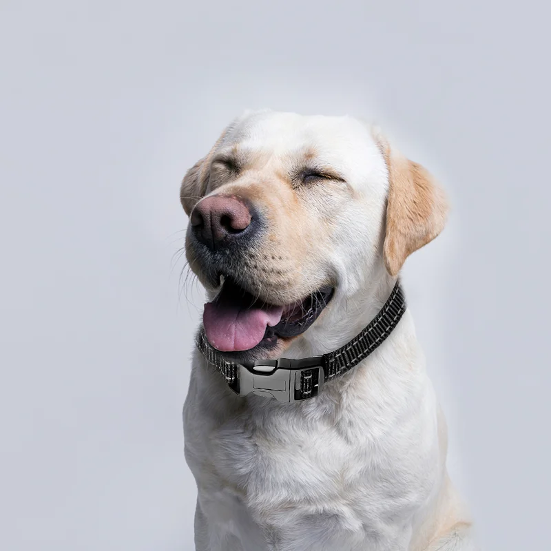 Нейлоновый тренировочный ошейник для собак Светоотражающий Поводок