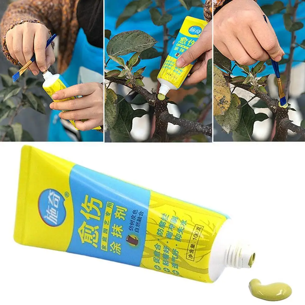 100g Tree Wound Bonsai Cut Paste Smear Agent Pruning Compound Sealer With Brush Flower Fruit Tree Plant Grafting Healing Cream