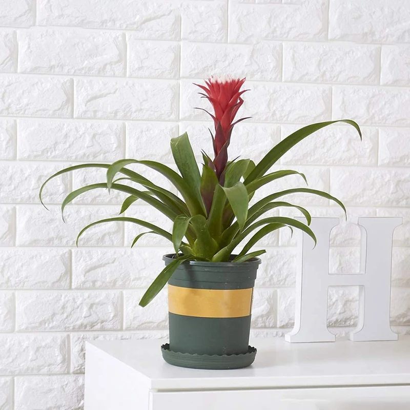 Горячий 10 дюймов пластиковый блюдце-поддон для растений цветочный горшок сада