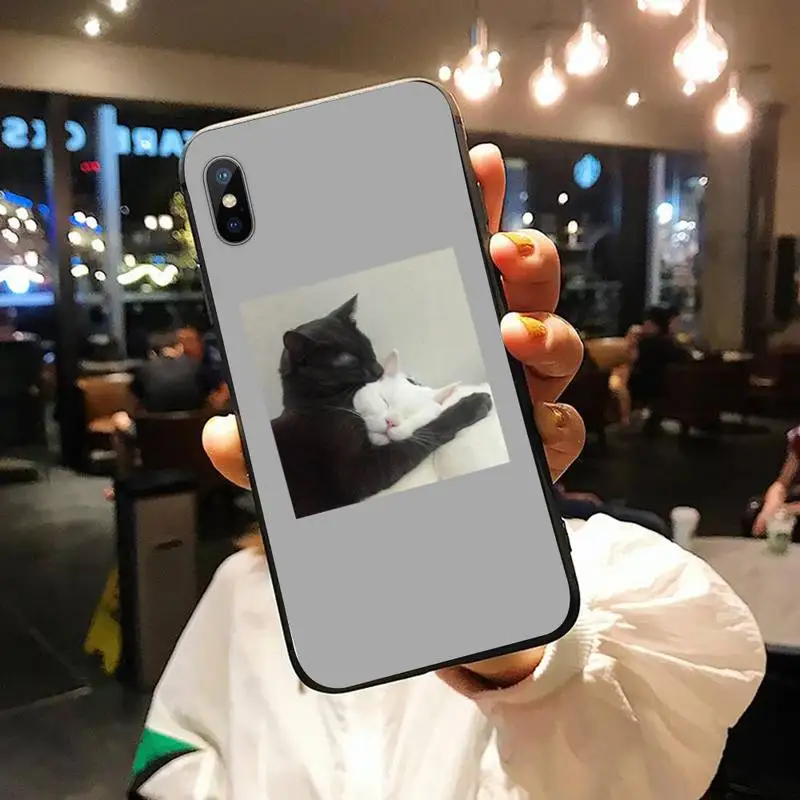 

Cute cat puppy pet Phone Case for iPhone 11 12 pro XS MAX 8 7 6 6S Plus X 5S SE 2020 XR