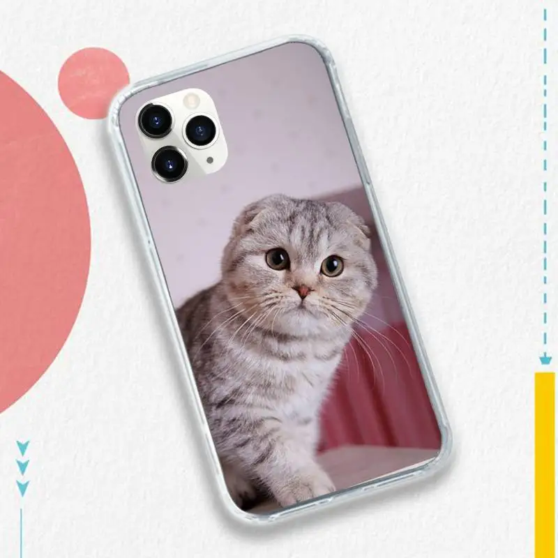

cute White cat Animal aesthetics Phone Case for iPhone 11 12 pro XS MAX 8 7 6 6S Plus X 5S SE 2020 XR