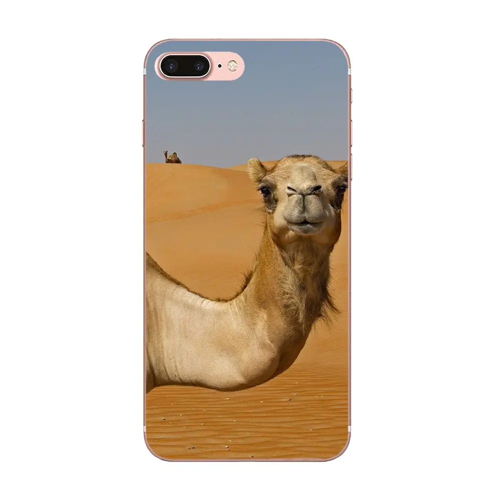 Мягкий ТПУ Модный чехол для телефона Camel Desert HTC Desire 530 626 628 630 816 820 830 One A9 M7 M8 M9 M10 E9 U11