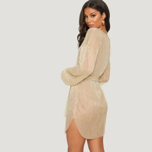 Women Dress Perspective Mesh Bodycon Summer Autumn Long Sleeve Sexy Party Dresses Vestidos Bandage Beach | Женская одежда