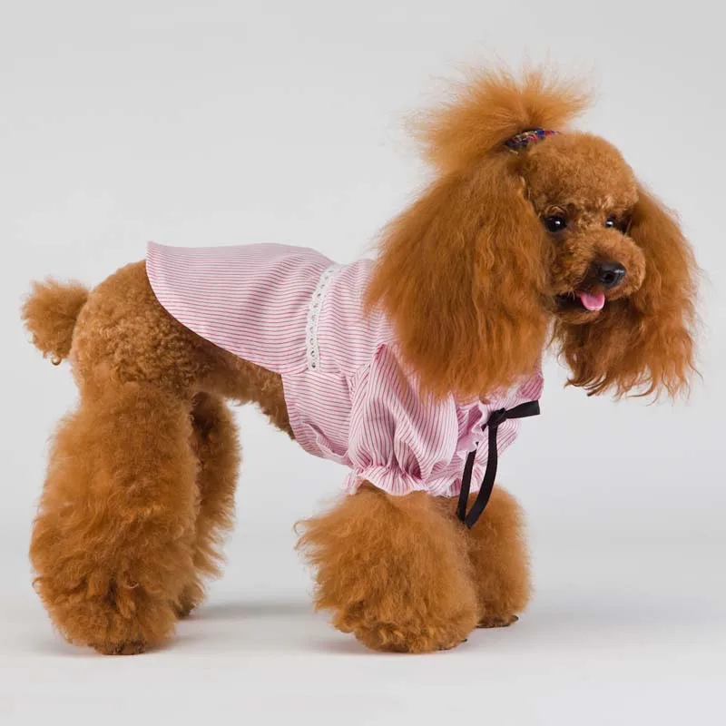 Рубашка для отдыха в полоску собак одежда йорков летняя приталенная рубашка