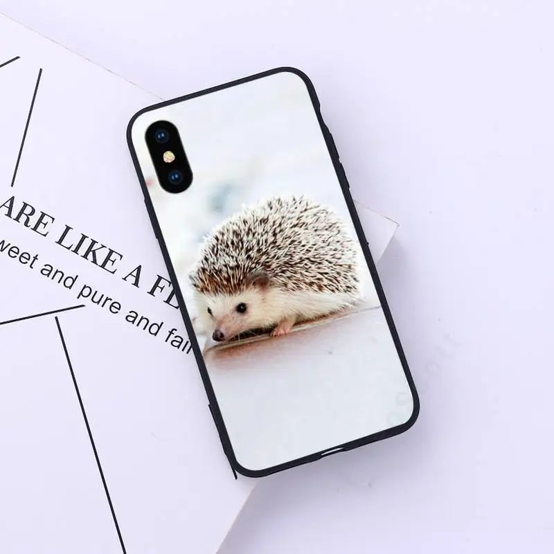 

Hedgehog lovely animal Phone Case for iPhone 11 12 pro XS MAX 8 7 6 6S Plus X 5S SE 2020 XR
