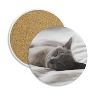animal cute gray cat photograph shoot ceramic coaster cup mug holder absorbent stone for drinks 2pcs gift