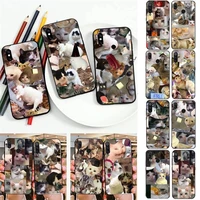 toplbpcs crying cat memes phone case for redmi 5 s2 k30pro fundas for redmi 8 7 7a note 5 5a capa