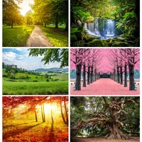 forest tree spring landscape nature scenery photography backdrops props vinyl background for photo studio shoot 21808ouy 03