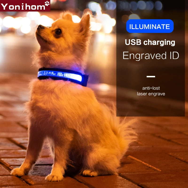 

LED Dog Collar Luminous Personalized Pet Dog Light Night Safety LED Dog Collar Light Usb Rechargeable Cat Collar Perro Luminoso