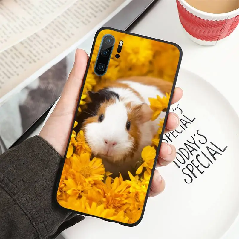 

Cute animal Guinea Pig Phone Case For Huawei honor Mate P 10 20 30 40 i 9 8 pro x Lite smart 2019 nova 5t