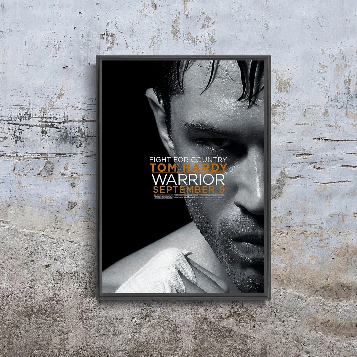 

Постер с изображением воина в домашних условиях (без рамки)