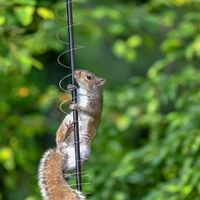 wonderlife outdoor hummingbird feeder with squirrel proof spring