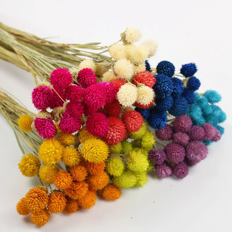 

Natural Plant Fresh Style Wedding Decoration Dried Flower Strawberry Fruit Shooting Props Ornaments Scene Layout Home Party