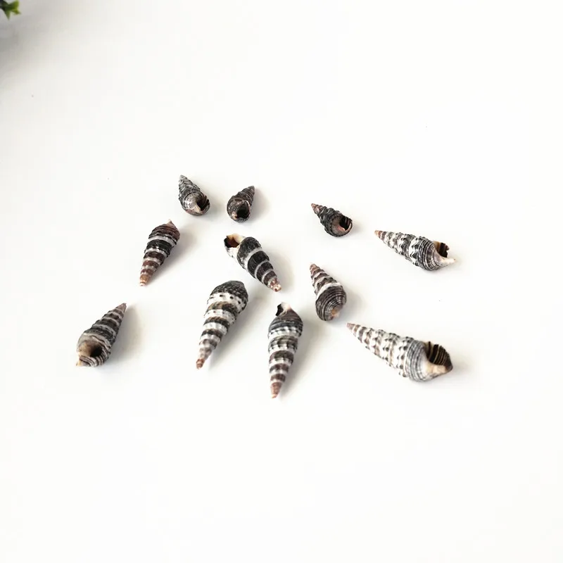 100 шт. натуральные раковины черные спиральные для зачистки в аквариуме