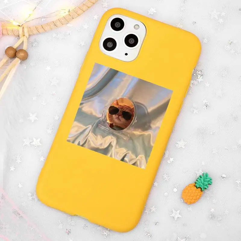 

Cute animal cat art design Phone Case Candy Color Yellow for iPhone 11 12 pro XS MAX 8 7 6 6S Plus X 5S SE 2020 XR