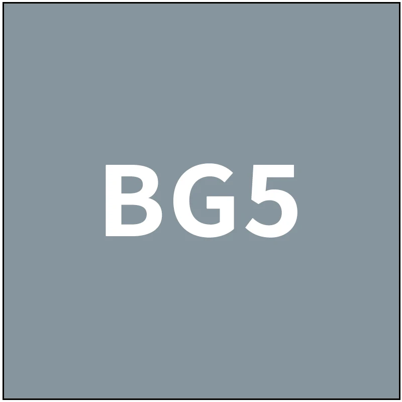 number-BG5 TOUCHFIVE 168 цветов одиночные художественные маркеры Кисть ручка эскиз на спиртовой основе маркеры двойная головка манга ручки для рисования товары для рукоделия - Цвет: number-BG5