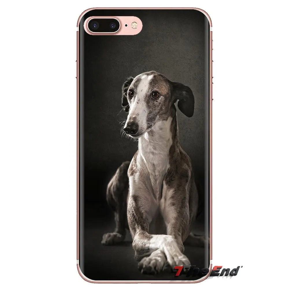 Мягкие прозрачные чехлы для samsung Galaxy S3 S4 S5 мини S6 S7 край S8 S9 S10 Plus Note 3 4 5 8 9 galgo собака
