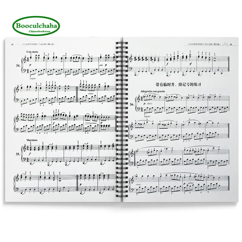 Моя первая Классическая книга для пианино: Бордовая 25 работа пианино основная