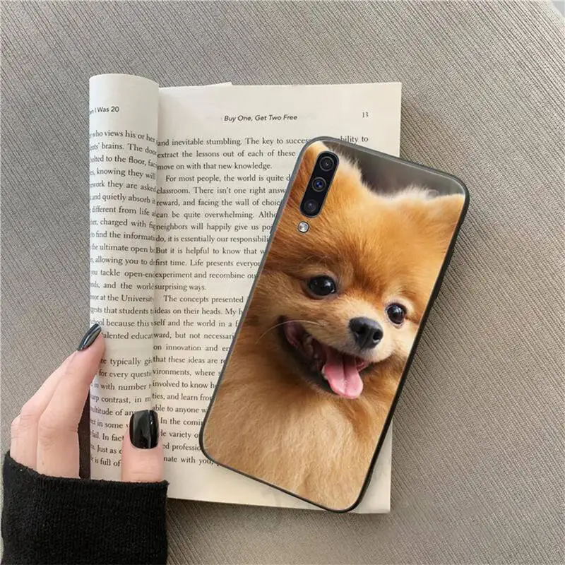 

Pomeranian dogs cute dog animal Phone Case For Samsung galaxy S 9 10 20 A 10 21 30 31 40 50 51 71 s note 20 j 4 2018 plus