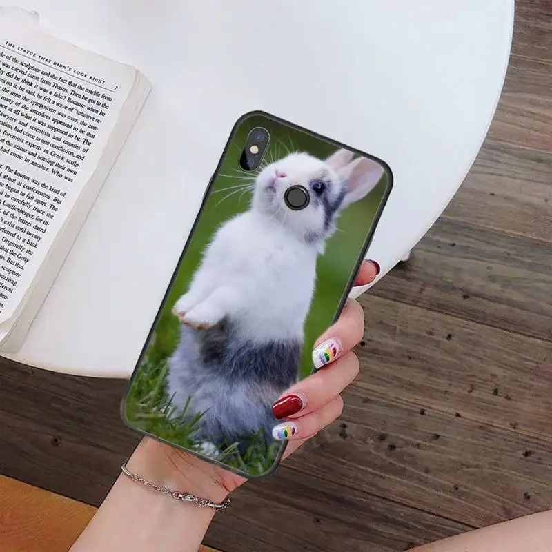 

animal Cute White Baby Rabbits Phone Case For Xiaomi Redmi note 7 8 9 t max3 s 10 pro lite Luxury brand shell funda coque