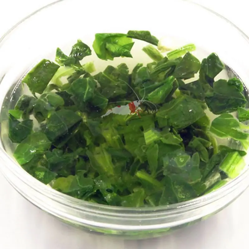 Замороженные натуральные шпинатные гранулы для аквариума рыбы красного