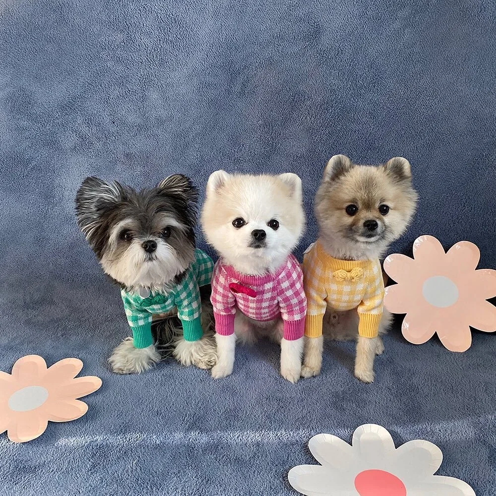 

Dog Cute Smiley Plaid Sweater Coat Pet Dog Clothes Autumn Warm Knitted Bottoming French Bulldog Pet Clothes For Small Dogs