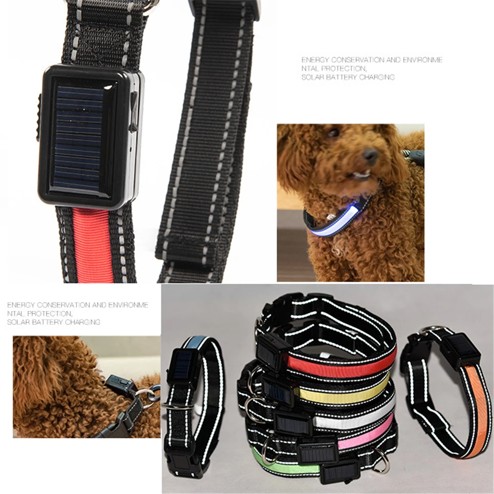 водонепроницаемый ошейник для собак и кошек шейный поводок светодиодный