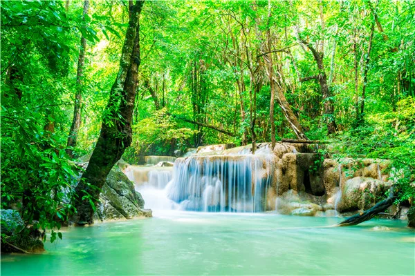 Виниловый фон для фотосъемки SHENGYONGBAO на заказ реквизит фотостудии водопад тема