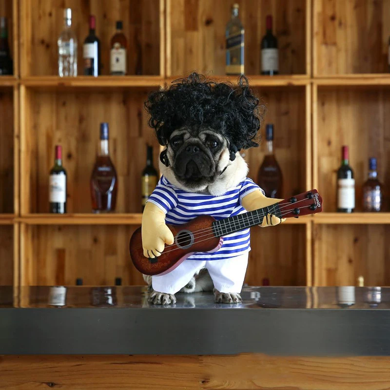 Забавные кота собаки костюмы Боксеры для костюмированной вечеринки костюм