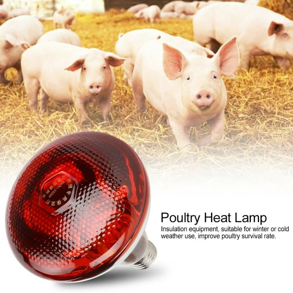 

240V Infra Red Heat Lamp Poultry Brooder Chicks Waterproof Hatching Puppies Piglet Bulb STSF666