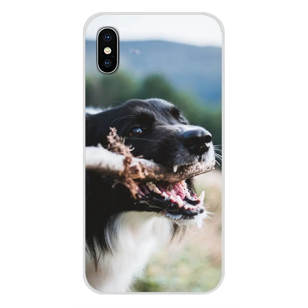 Границы собака колли для Xiaomi Redmi 4A S2 Note 3 3S 4 4X5 6plus 7 6A Pro Pocophone F1 аксессуары телефона